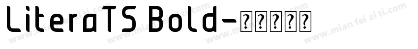 LiteraTS Bold字体转换